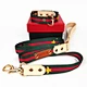 Conjunto de coleira de cachorro de couro