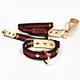 Conjunto de coleira de cachorro de couro