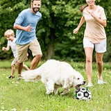 kong pet toys
