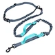 run leash for dogs