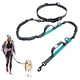 run leash for dogs