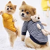 Puppy Hoodie Clothes