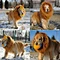 Pet Costume Lion Wigs Mane Hair Scarf