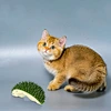 Cat Self Groomer Brush