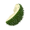 Cat Self Groomer Brush