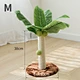Cat Climbing Tree