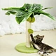 Cat Climbing Tree