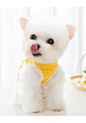 pet dog clothes