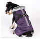 Quilted pet parka with faux fur collar and leash attachment