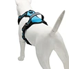 Reflective leash for pets