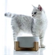 Ceramic Pet Bowl