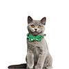 Bowknot patterned collar