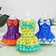 Dog  Summer Princess Colorful Skirt Dress
