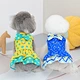 Dog  Summer Princess Colorful Skirt Dress