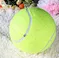 virtual pet toy