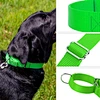 Nylon Slip Collar For Dogs