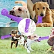 rubber dog bone toy