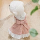 Coleção de vestido de cachorro xadrez rosa