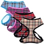 Pet Harness Strap Collars