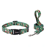 Festive pattern collar and leash