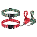 Festive leash and harness