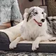 cama de espuma viscoelástica para cães