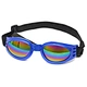 Pet Glasses