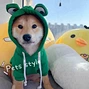 Pet Frog Shape Hoodie