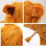 pet costume cosplay clothes