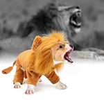 pet costume cosplay clothes