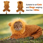 pet costume cosplay clothes