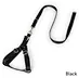 biking leash for dogs