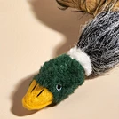 Pet Talking Toy Forgives Wild Duck