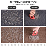 Pet Mini Hair Remover
