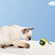 Electric Intelligent Chew LED Toys For Cats