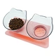 Cat Water Double Bowl