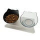 Cat Water Double Bowl