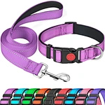 Dog Collars Nylon