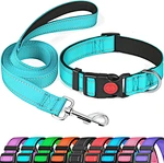 Dog Collars Nylon