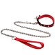 dog yard leash