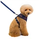 pet leash chest strap lattice