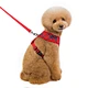 pet leash chest strap lattice