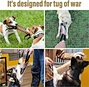 2 Handle Strong Pull Pet Rope Toys