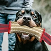 2 Handle Strong Pull Pet Rope Toys
