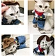 Cat Halloween Costumes