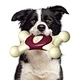 Dog Teething Chew Toys