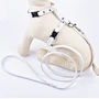Cat Halter Harness