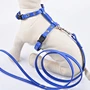 Cat Halter Harness