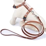 Cat Halter Harness