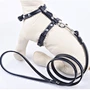 Cat Halter Harness